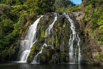 Obraz na płótnie Canvas Owharoa Falls, New Zealand