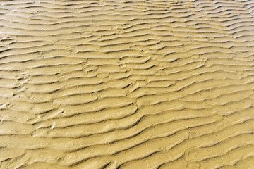 Textre, design by water streams on the sand