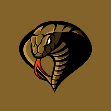 Furious cobra sport vector logo concept isolated on khaki background. Modern military professional team badge design.
Premium quality wild snake t-shirt tee print illustration.