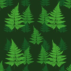 Seamless pattern with fern leaves. Vector stock illustration.  