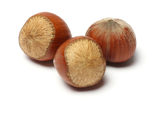 hazelnut isolated on white background
