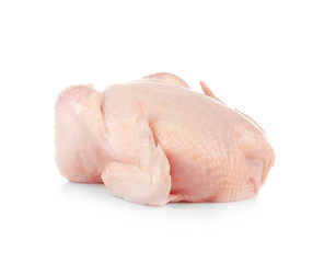 Whole raw chicken on white background