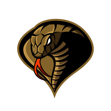 Furious cobra sport vector logo concept isolated on white background. Modern military professional team badge design.
Premium quality wild snake t-shirt tee print illustration.
