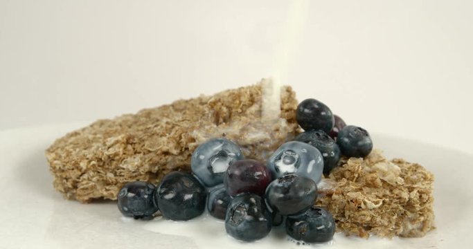 Wheat biscuit breakfast with blueberries and milk being poured in slow motion 