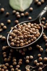 Coriander seeds in metal spoon closeup macro shot