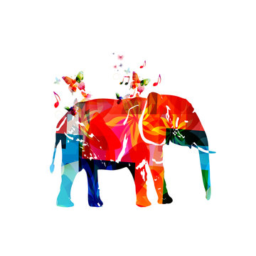 Colorful elephant with butterflies isolated vector illustration. Animals design, wild animals background