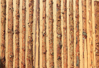 background of the boards