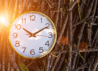 Set your clocks back with this clock in grass against a bright Daylight saving time concept.
