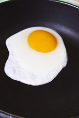 Fried egg in the pan