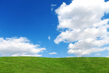 Fototapeta premium Landscape of grass field on bright sunny day. Nature beauty background, blue cloudy sky and summer green meadow. Outdoor lifestyle. Freedom concept.