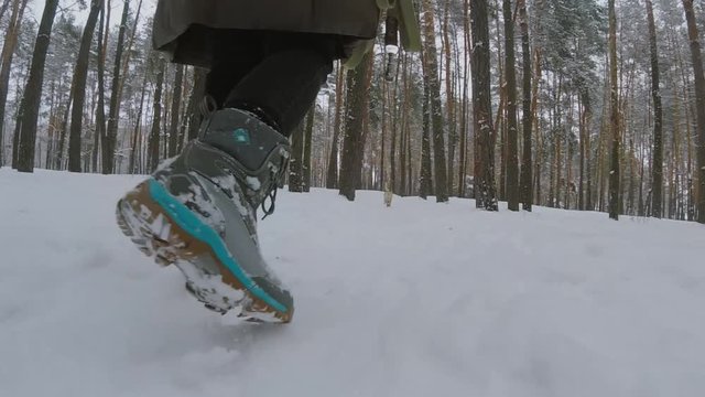 Icy walk in the snow. Girl walk with her mix breed dog.Winter forest.