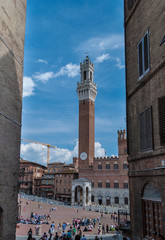 Fototapeta premium Piazza del Campo, Sienna, Italy viewed between two buildings