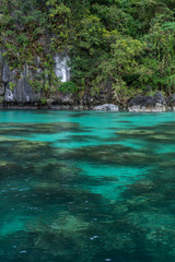 Fototapeta na wymiar The crystal clear waters of a tropical island lagoon showing the rocks and plant life below with a cliff face background covered in trees and plants.