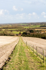 Fototapeta premium The way to Glynde