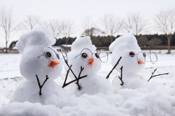 Three cute snowman characters with reading glasses and snow mohican hair cuts. Snow fallen all around at winter time
