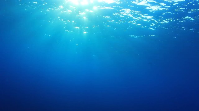 Underwater, sunlight in sea