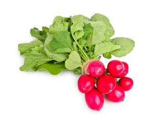 Fresh radishes on white