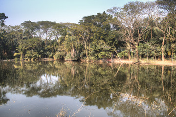 A small pond in Bagerhat, Bangladesh
