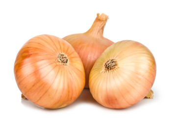 Fototapeta premium Onion isolated on white background
