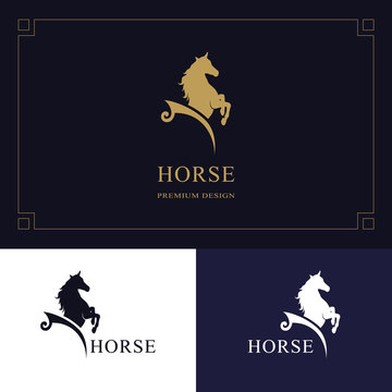 Horse logo. King stallion in jump. Racehorse head profile. Stylish graphic template design for company, farm, race. Vector illustration