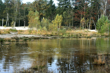 Red Bach, Rode Beek in Brunssum