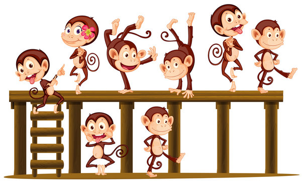 Monkeys playing on the wooden level