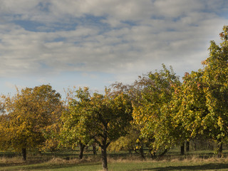 Herbst