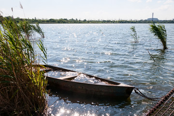 Naklejka na ściany i meble Old flooded boat in the reeds.
