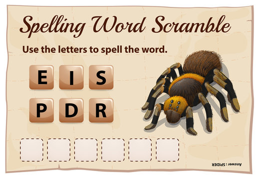 Spelling word scrable game with word spider