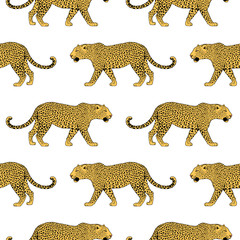 Leopard face tattoo , illustration, print