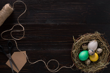 Colorful easter egg in nest on dark wood board.
