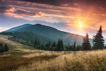 Papier Peint photo autocollant Photo du jour Lever du soleil au-dessus des sommets de la montagne enfumée avec vue sur la forêt au premier plan. Ciel couvert dramatique.
