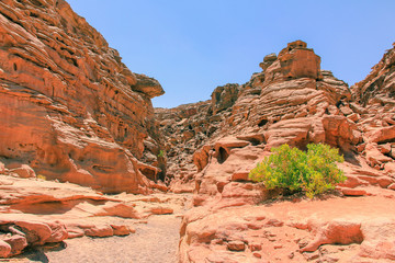 Colored Canyon of Egypt. Sinai desert, Nuweiba.