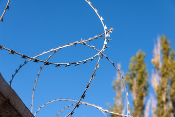 Barbed wire against the blue sky