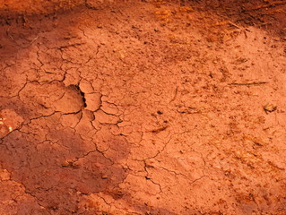 dry and brown soil texture