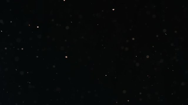 Dust Particles Flowing in black Background
