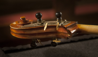 violin