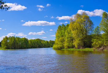Obraz premium River in Spring. Nature composition