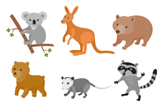 Zoo wild animals colorful set. Vector illustration.