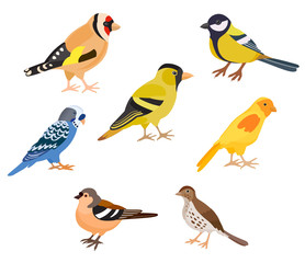 A set of birds, isolated vector illustration
