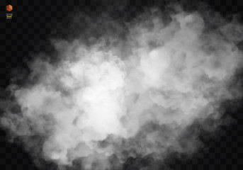 Fog or smoke isolated transparent special effect. White vector cloudiness, mist smog background. illustration