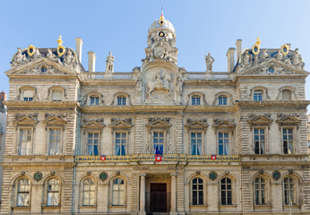 Fototapeta na wymiar Fantastic old building in Lyon