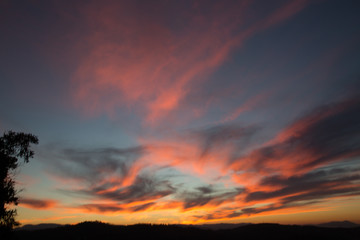 Beautiful red sunset over the field and forest