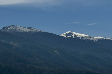 Fototapeta premium Scene with mountain top and coniferous forest in the high peak of Rila mountain, Bulgaria