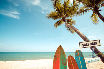 Vintage surf board with palm tree on tropical beach in summer. vintage color tone