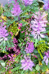Obraz premium Beautiful flower exquisite composition