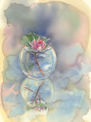 water lily in vase watercolor background
