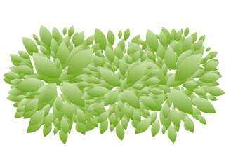Spring background with green leaves. Vector illustration.