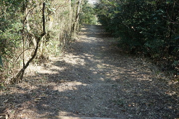 Fototapeta premium 登山