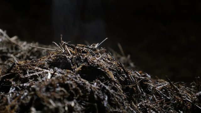 Warm heat from nitrogen rich soil fertilizer 4K 2160p 30fps UltraHD footage - Animal feces and organic bedding straw in barn